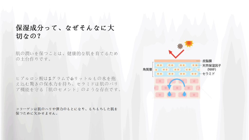 肌の水分を保つ皮脂膜 角質層 天然保湿因子 セラミドのイラスト