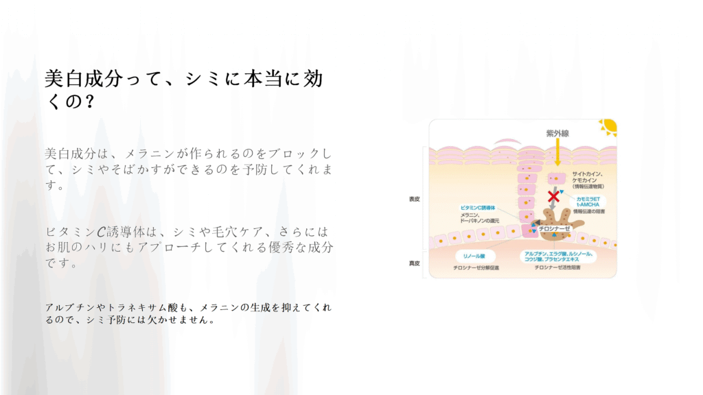 美白成分によるシミ予防の仕組みを解説する図と文章 紫外線がメラニンを作り出す過程をビタミンC誘導体やアルブチンがどのように抑えるか説明